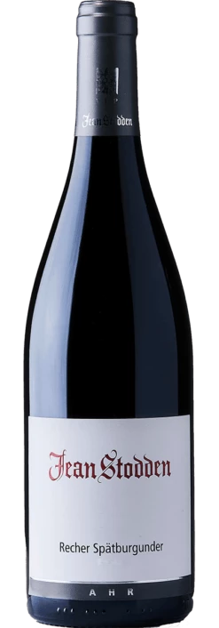Recher Herrenberg Spätburgunder D.Q.